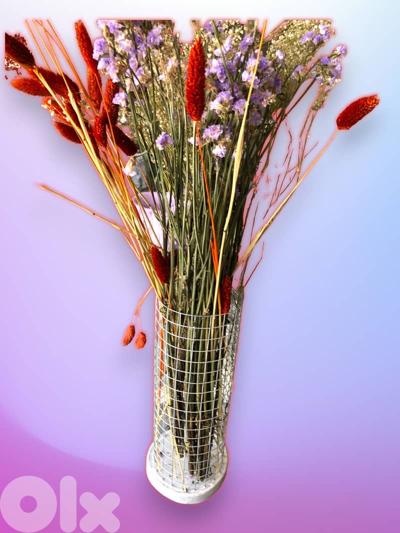 Concrete vases 0