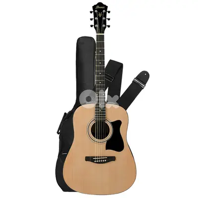 Ibanez VC50NJP acoustic NT Natural