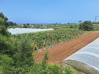4435 Sqm | Land for Sale in Damour Al Battal