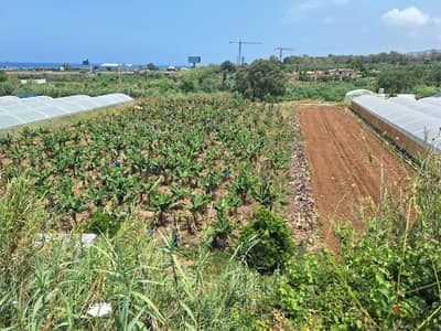 4435 Sqm | Land for Sale in Damour Al Battal