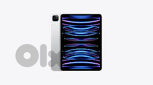 Ipad pro 11 256gb cellular m1 silver /gray