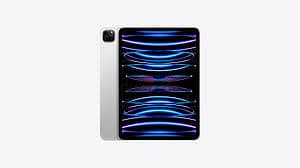 Ipad pro 11 256gb cellular m1 silver /gray 0