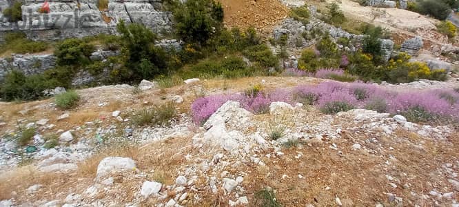 RWK128GZ - Land For Sale in Faitroun - أرض للبيع في فيترون