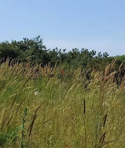 land for sale prime location broumana.