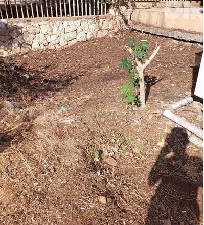 Dbayeh Prime (245Sq) with Garden and Sea View , (DB-133)