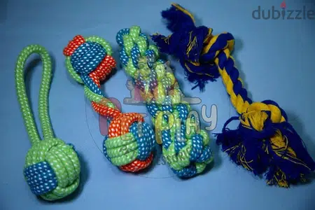 pets accesories