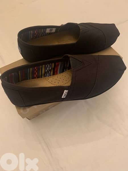TOMS. 3