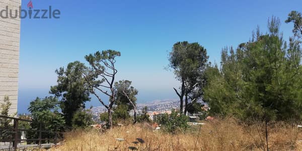 L12531-2000 SQM Land for Sale in Roumie