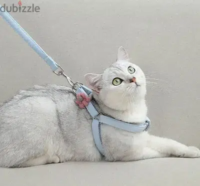 Adjustable Pet Leash for Small Dogs and Cats
