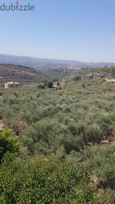 Cosy Apt in Kfarhata el Koura