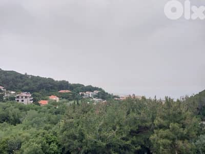 Apartment for sale in Broumana/ View