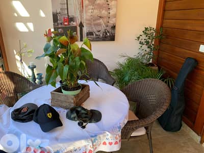 CHALET for sale in Faraya/Garden/ Furnished شاليه للبيع في فاريا