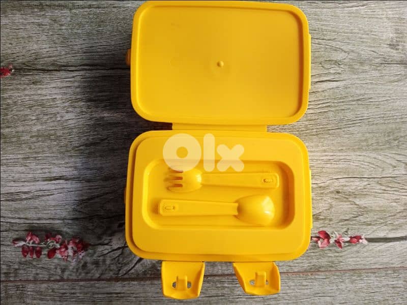 Tweety lunchbox 1