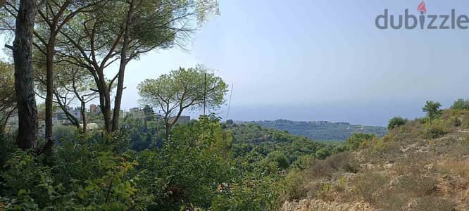 Land | Bekhaaz | Very Special | أرض للبيع | PLS 25726
