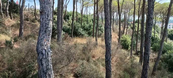 Land | Bekhaaz | Very Special | أرض للبيع | PLS 25726