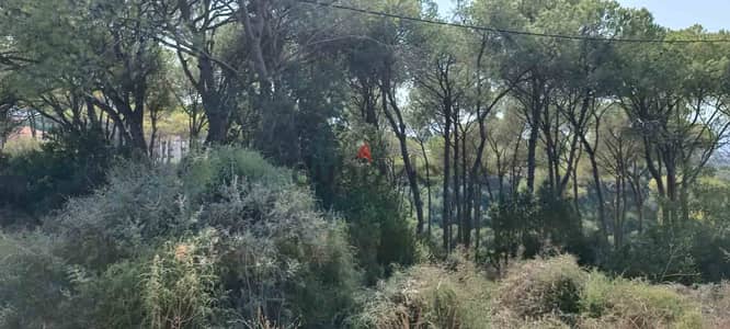 Land | Bekhaaz | Very Special | أرض للبيع | PLS 25726