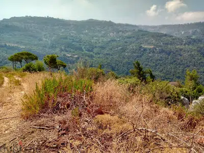 monteverde 1295 sqm land for sale with construction permit Ref# 5379