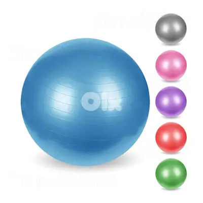 Fitness Art Gym ball