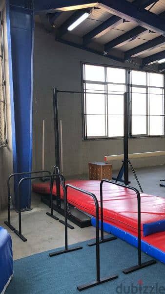 Portable High Bar- Calisthenics 6