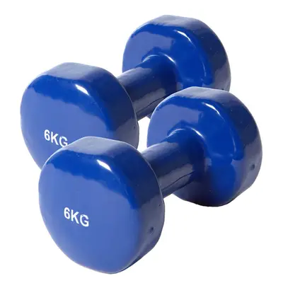 6KG Vinyl dumbbells