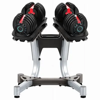 Adjustable dumbbells (with stand)