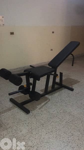 leg extension leg curl bench like new 1