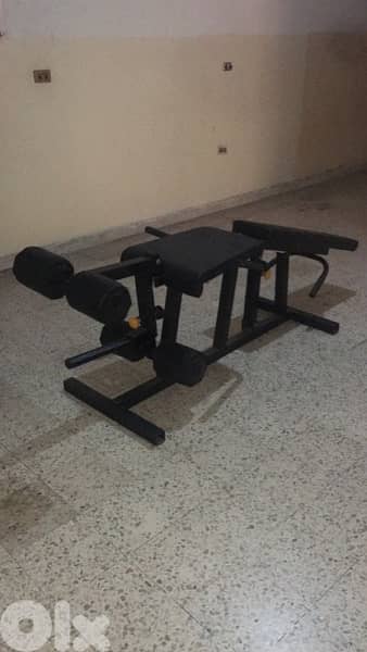 leg extension leg curl bench like new 4
