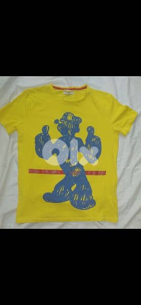 iceberg authentic tshirt S to xL 1