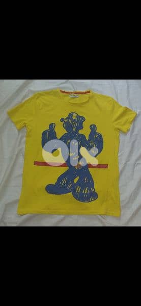 iceberg authentic tshirt S to xL 2