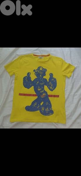 iceberg authentic tshirt S to xL 3