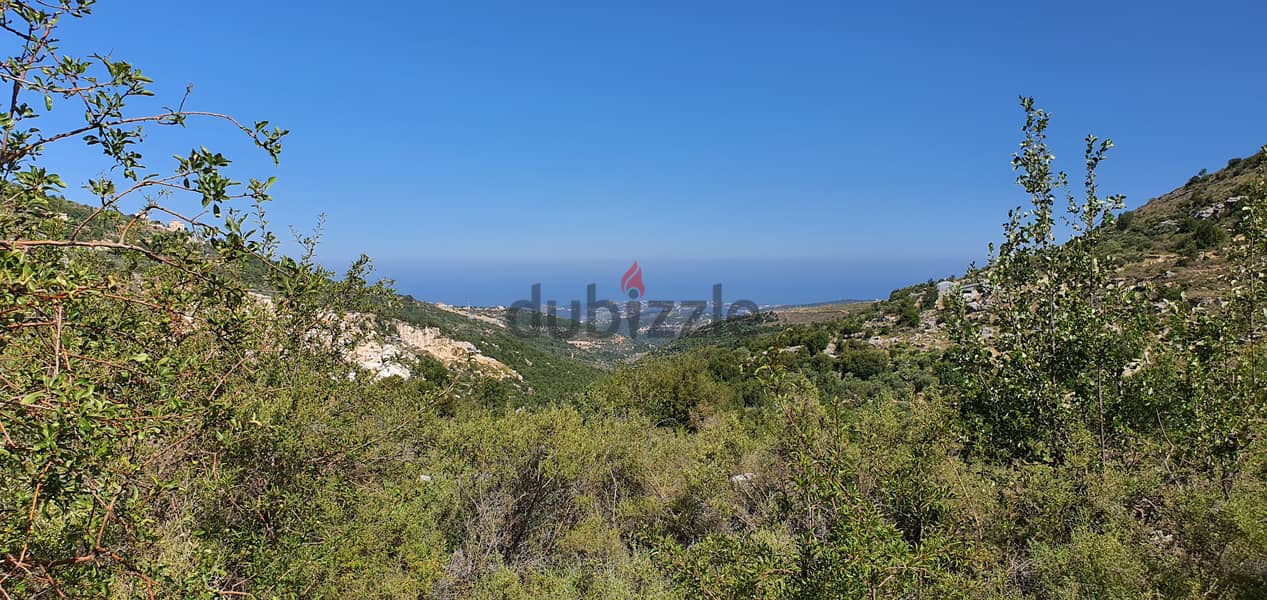 Land in Bchaaleh - Batroun District for sale 2