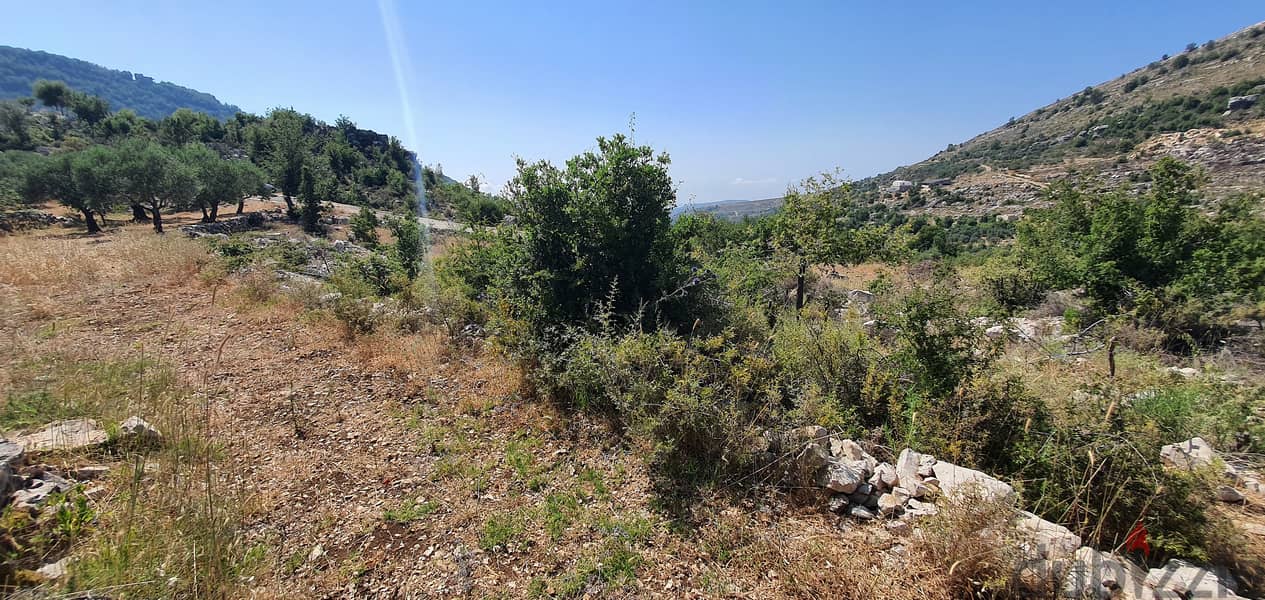 Land in Bchaaleh - Batroun District for sale 5
