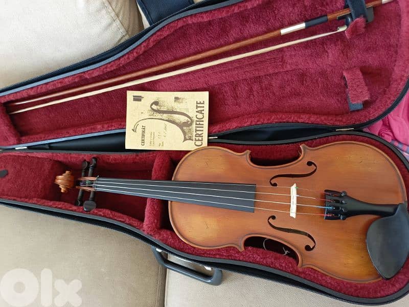 Professional Violin 0