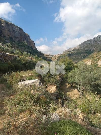 ارض للبيع في شارون جبل عاليه land for sale in sharon mount lebanon