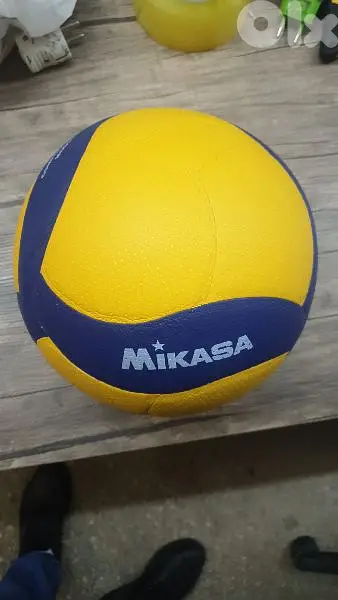 Volley ball