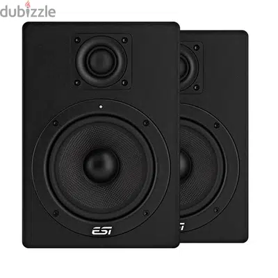 ESI aktiv 05 5" Studio Reference