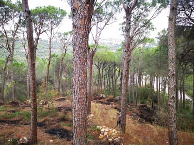 6213 Sqm | Land for sale in Zandouka | Mountain view