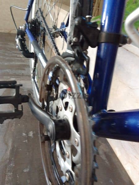 jagger bike 7
