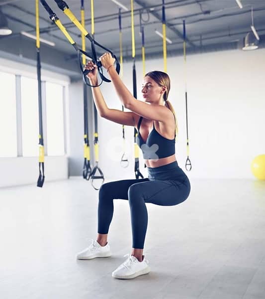 Trx pro system 2