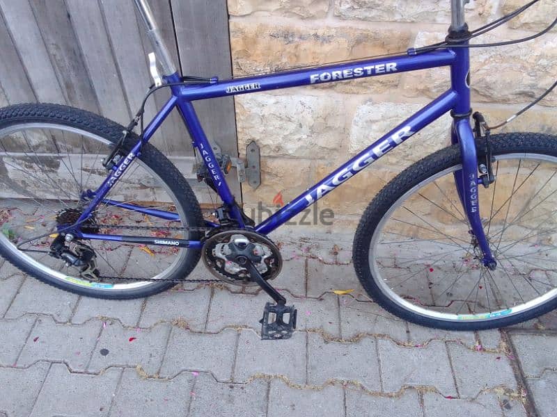 jagger bike 10