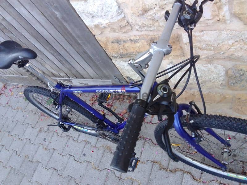 jagger bike 11