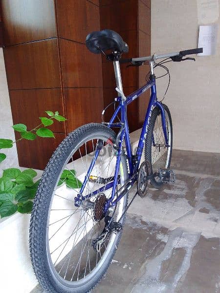 jagger bike 13