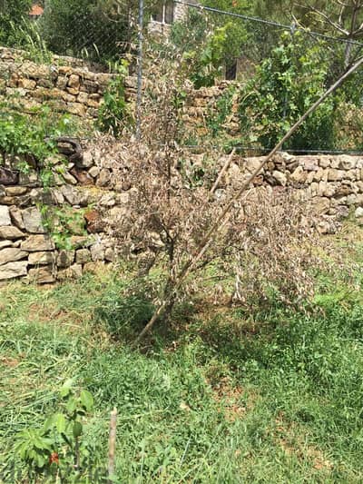 Land for sale in El Choueir 2006 Sqm Open Mountain view