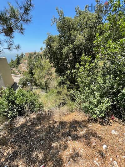 RWK157CA - Captivate Your Senses: Land with View Ready for Your Vision