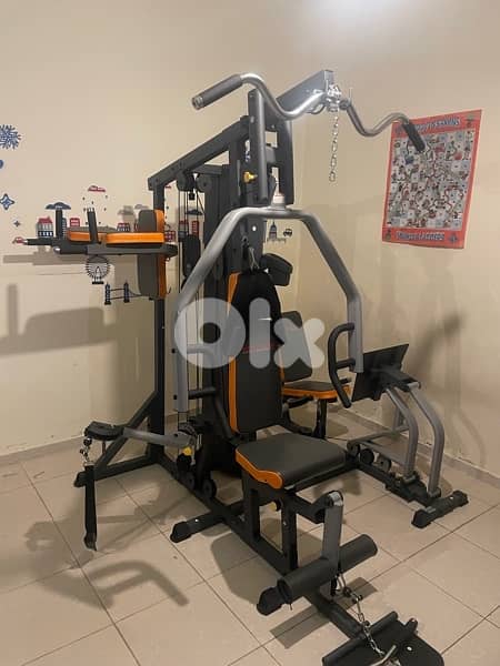 Deluxe Home gym (3 stations) 0