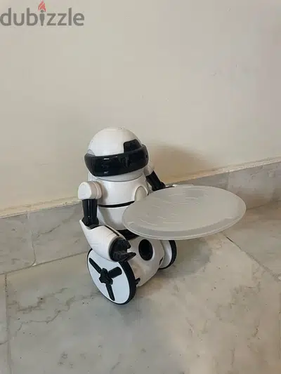 Robot MiP