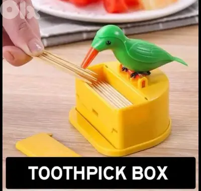 very cute bird curdon catcher