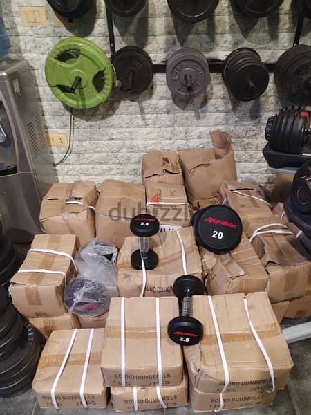 dambels new best quality in very good price 70/443573 RODGE 4