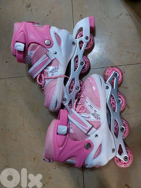 rolles 2