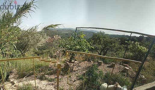 1000 Sqm | Land For Sale In Kfardebian | Open Space